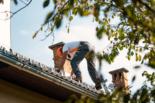 Best Roof Gutter Cleaning  in Hardwick, GA