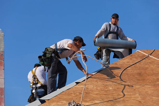 Best Roof Waterproofing Services  in Hardwick, GA